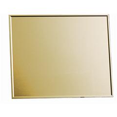[whlg9] 4 x 5 Omni Gold Lens Shade 9