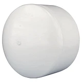 10" Cap PVC/DWV
