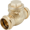 2" Press Check Valve Swing