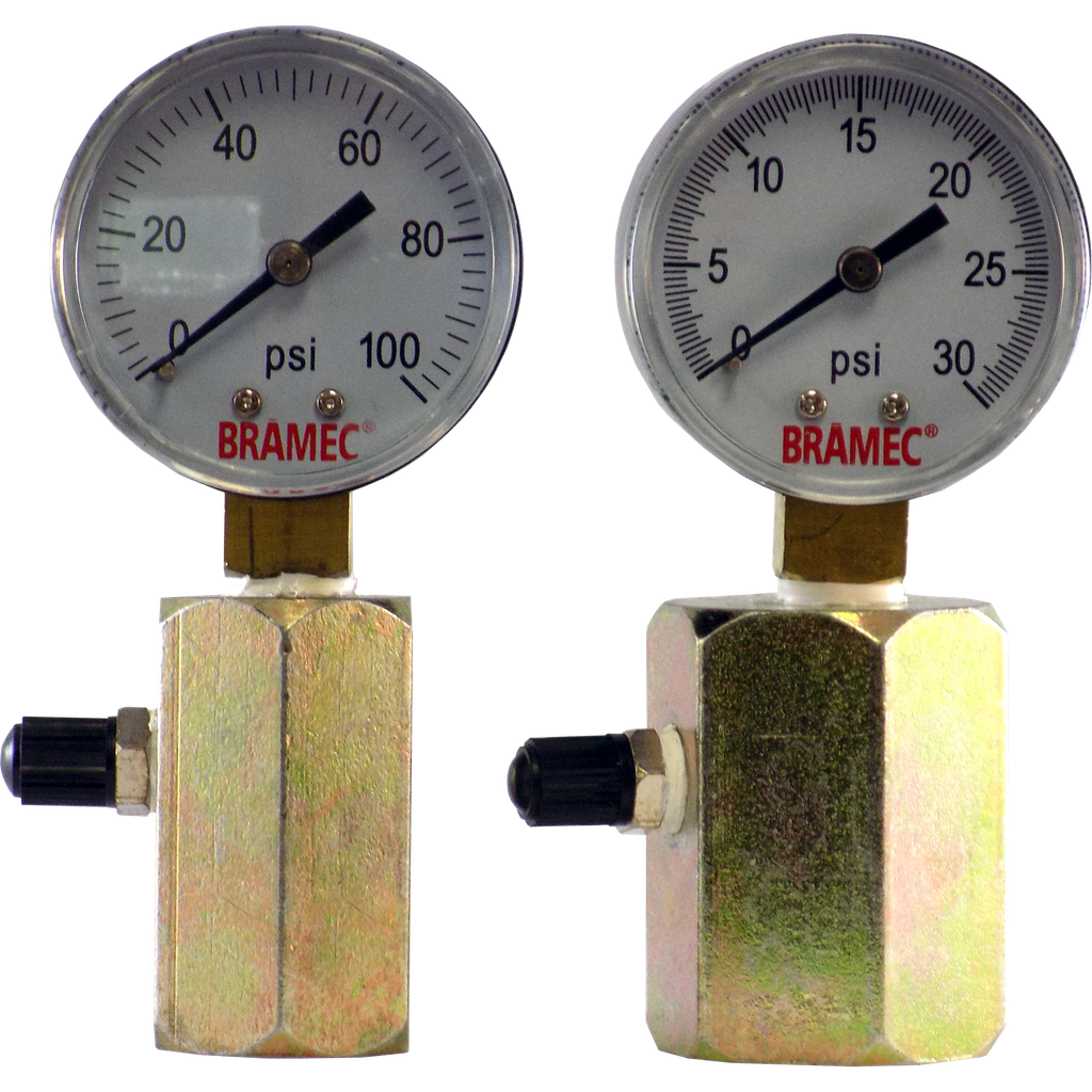 Bramec 1" Test Gauge Kit 100#