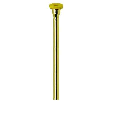 12" Polished Brass Closet Supply