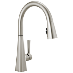 [fd19802zspdst] Delta Lenta Pull Down Kitchen Faucet Spotshield Stainless